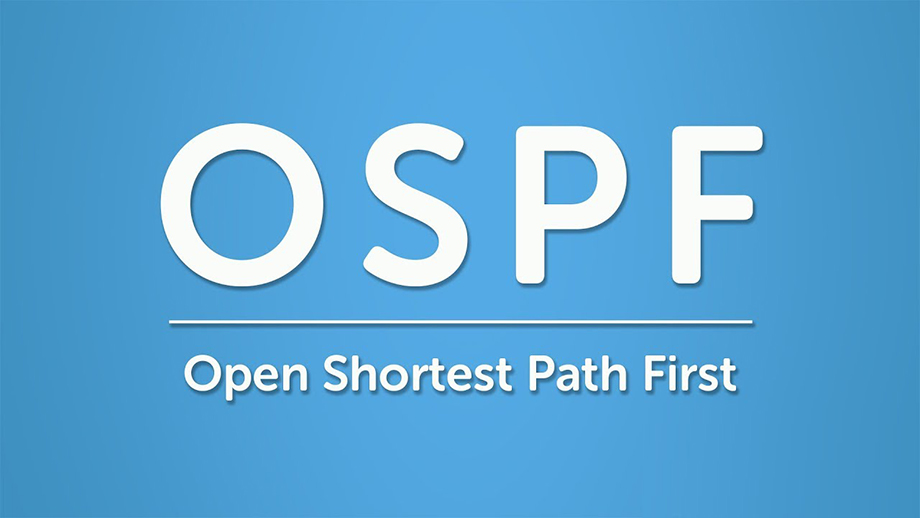 OSPF basic setup steps